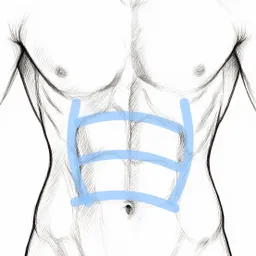 Abs male body edit thumbnail