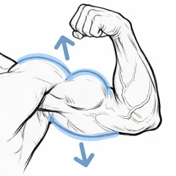 Muscular Arms male body edit thumbnail